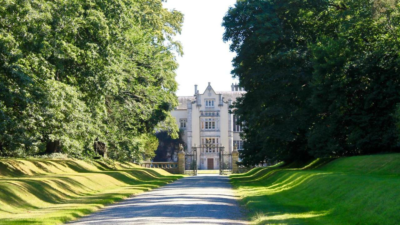 The Nook County Dublin Pensionat Exteriör bild